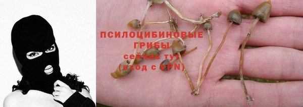 ПСИЛОЦИБИНОВЫЕ ГРИБЫ Абдулино