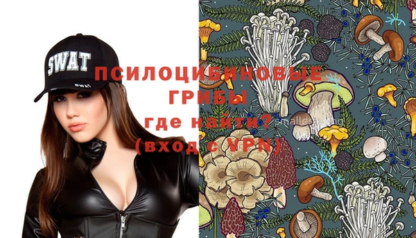 ПСИЛОЦИБИНОВЫЕ ГРИБЫ Абдулино
