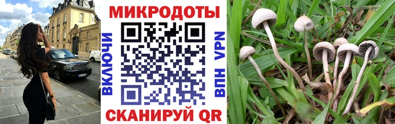 как найти наркотики  Рославль  блэк спрут ССЫЛКА  Галлюциногенные грибы Magic Shrooms 